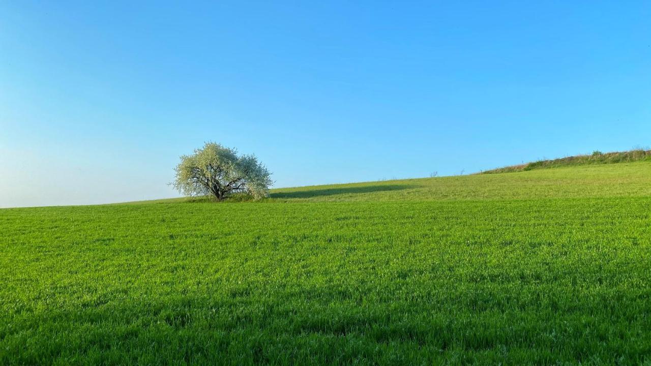 Agriturismo Albana Castiglione Delle Stiviere Eksteriør bilde